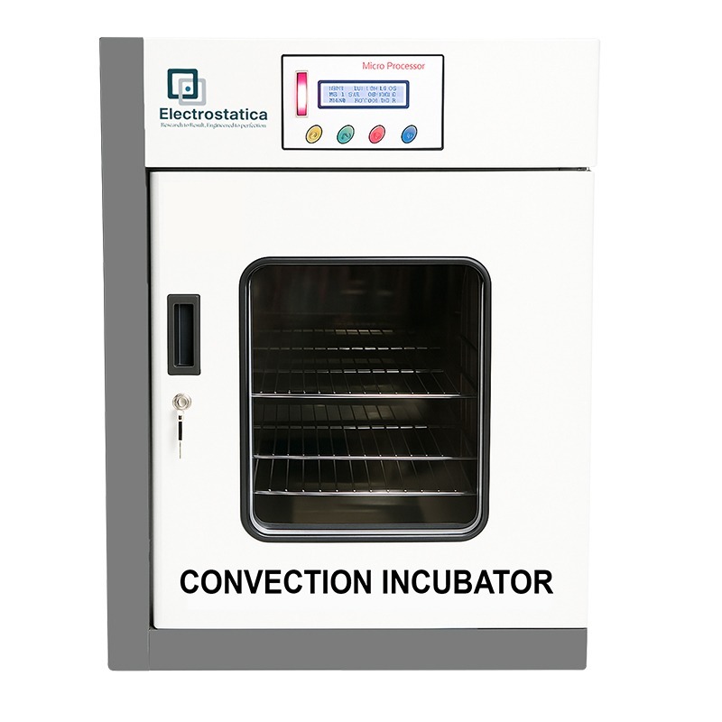 Convection Incubator